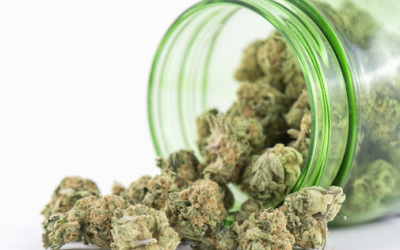 Unveiling Local Benefits When Shopping at a Marijuana Shop Biloxi MS Residents Trust