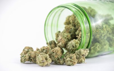 How to Find a Decent Retail Cannabis Store