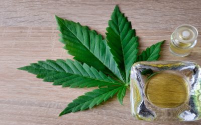 Medical Cannabis in Brighton, CO: Common Conditions and What to Expect