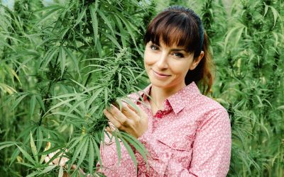 The Convenience of Online Cannabis Delivery in NYC for Safe and Fast Service